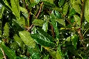 DSC01639.webp
