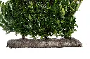 DSC01630.webp