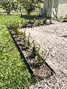IMG_3774.webp