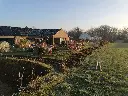 Bøg 10 - 1.webp