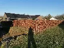 Bøg 10 - 2.webp