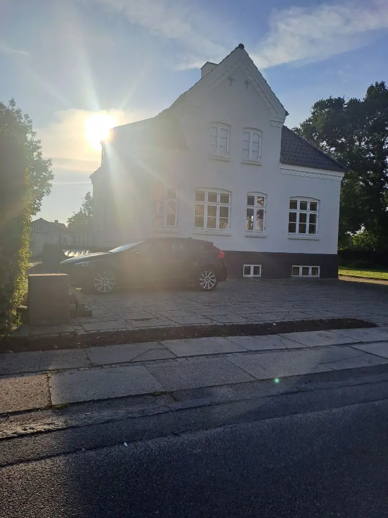 Bøg 9 - 1.webp