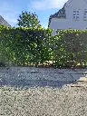 Bøg 9 - 2.webp