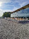 Liguster 10 - 1 (1).webp