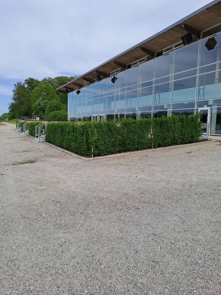 Liguster 10 - 1 (2).webp