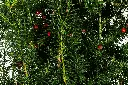 DSC01647.webp
