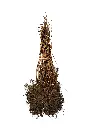 Blærespirea - Physocarpus